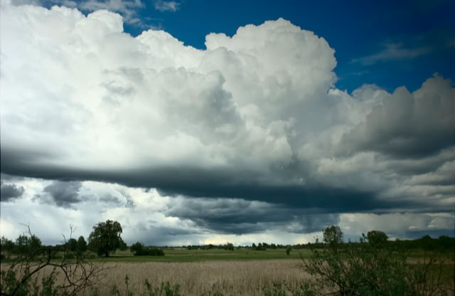 A landscape with a field in the foreground, scattered trees, and large, dramatic clouds in the sky.