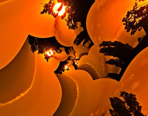 Abstract image with swirling orange and black shapes, resembling a distorted landscape with trees silhouetted against a bright sky.
