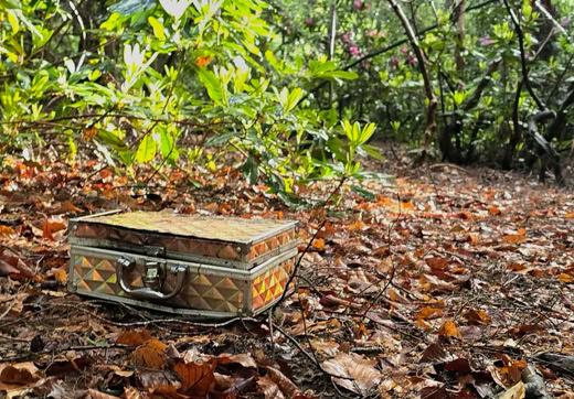 A decorative box with a quilted pattern sits on the forest floor surrounded by fallen leaves and greenery.