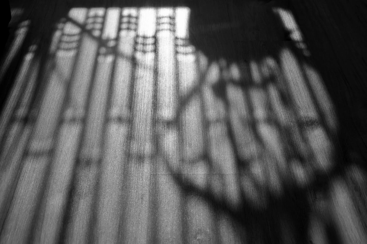 Shadows of a fence and circular object cast on a textured surface.