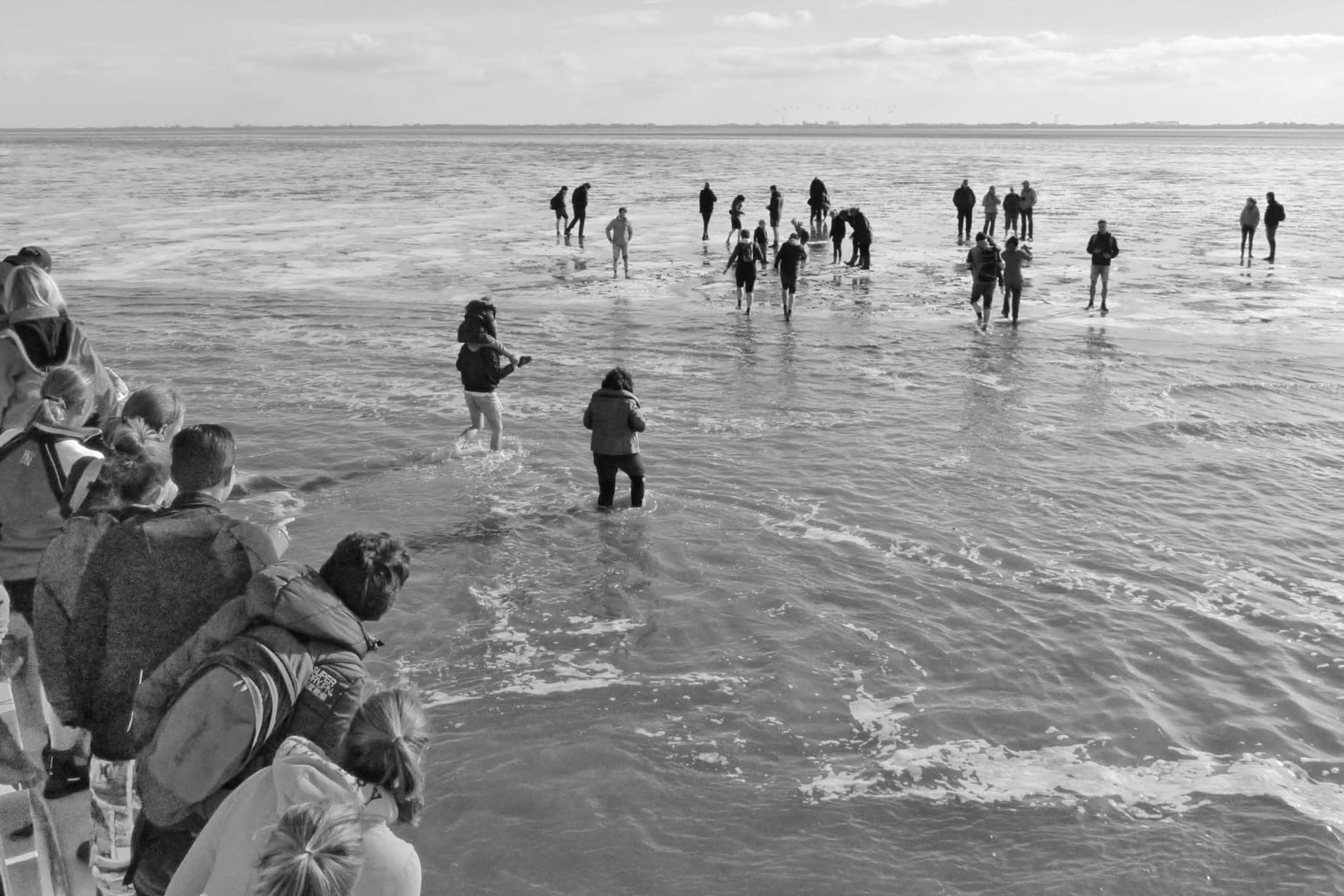 A group of people standing in shallow water near the shore on the Wadden, with some individuals on a boat in the foreground.
