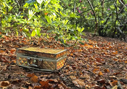 A decorative box with a textured surface is placed on a forest floor covered with dry leaves, surrounded by trees and greenery.