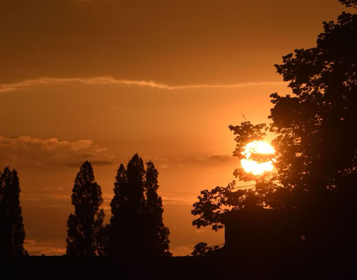 Silhouette of trees against an orange sunset sky with the sun partially visible.