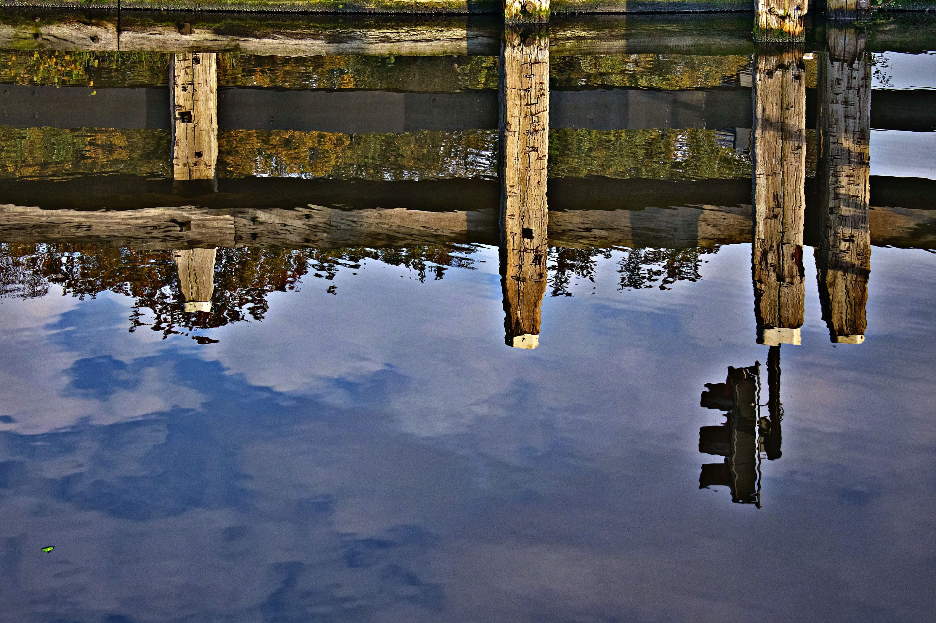 Reflection of a bridge and trees on a body of water.