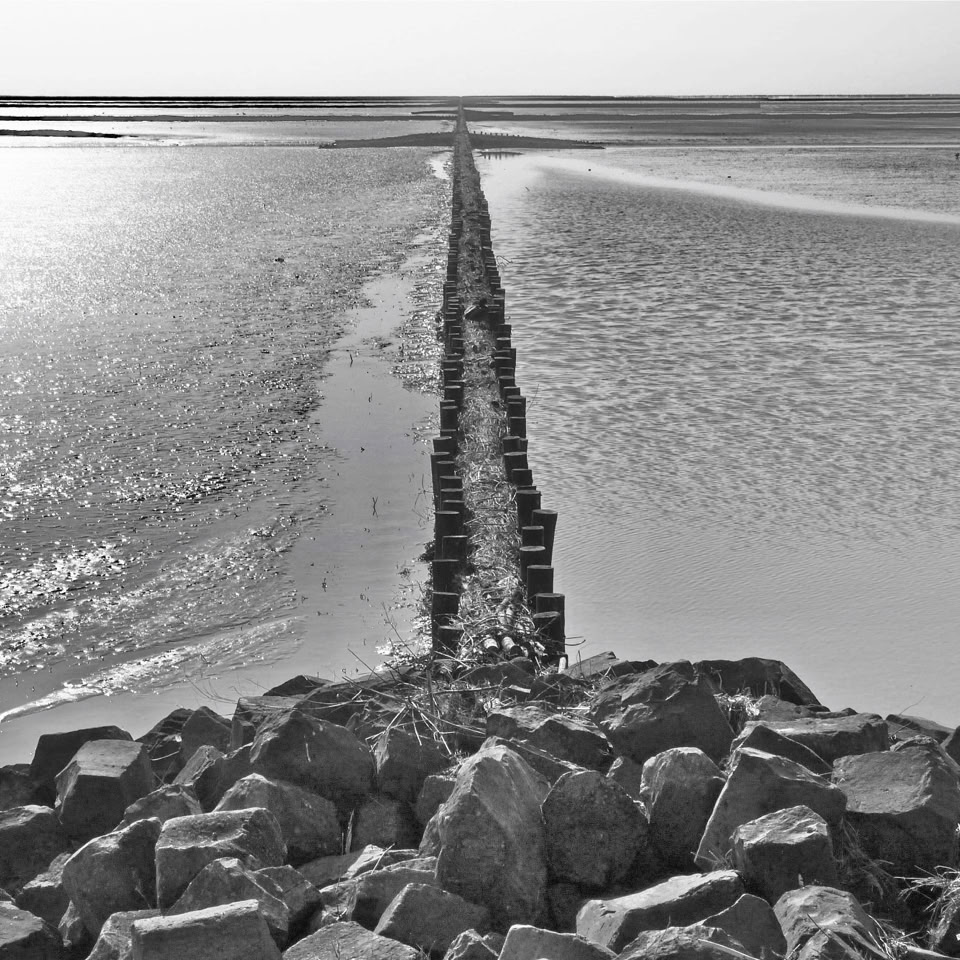 A black and white image of a rocky shoreline with a narrow, straight path of wooden posts extending into the distance across a flat, wet landscape.